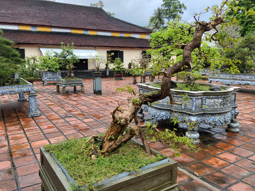 IMG 20251017 120607.jpg