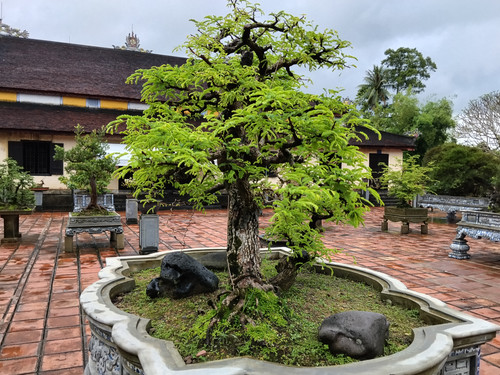 IMG 20251017 120613.jpg