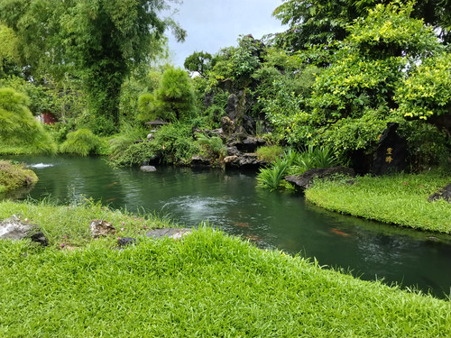 IMG 20251017 120738.jpg