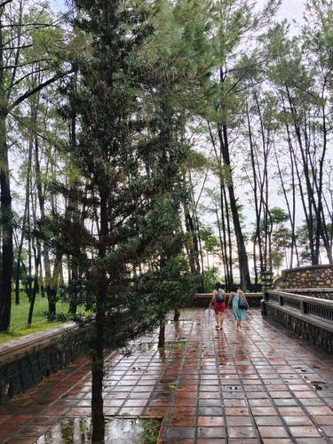 IMG 20251017 115955.jpg