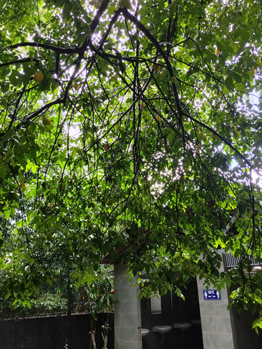 IMG 20251017 115201.jpg