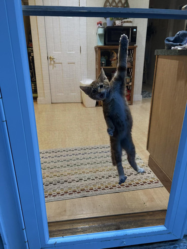 649134653 1578490630028368 98907823691278762 n.jpg