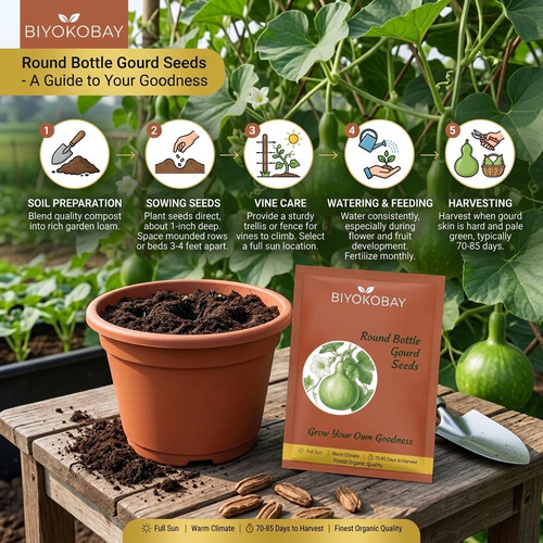 Gemini Generated Image sib5agsib5agsib5.jpg