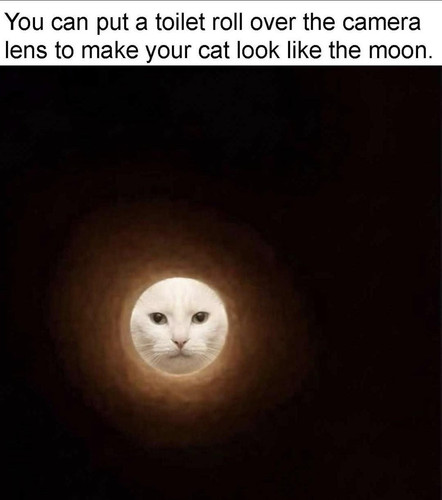 648799403 1348887233951919 1681850503846923650 n.jpg