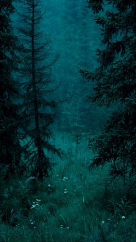 image 2026 03 08 232956988.png