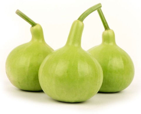 500 hybrid pusa summer prolific.jpg