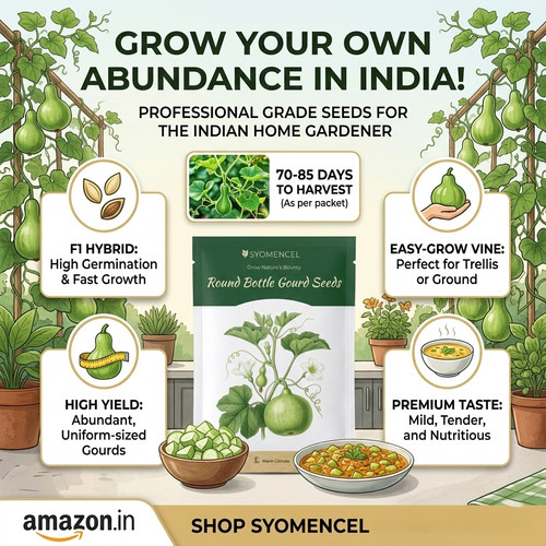 Gemini Generated Image lsjt4ulsjt4ulsjt.jpg