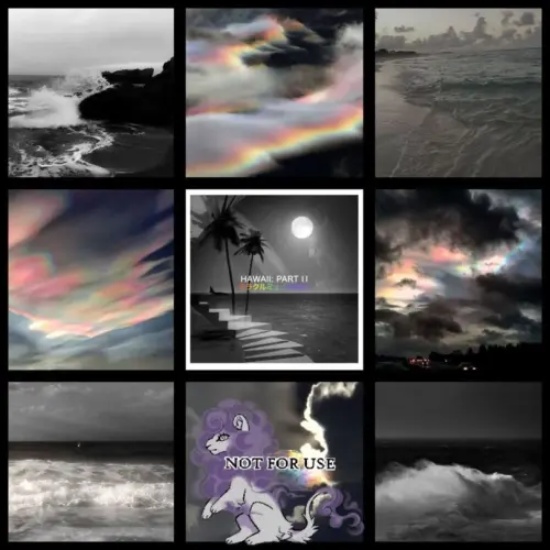 23B1D13D BE9E 4FB5 B4A0 5A10ED643F44.webp