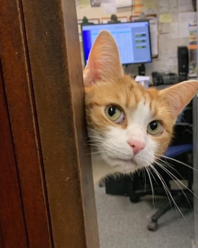 648825631 1374168438082901 4671251721209803875 n.jpg