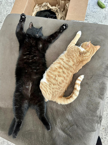 647418866 122164424654859660 2515083269667147790 n.jpg