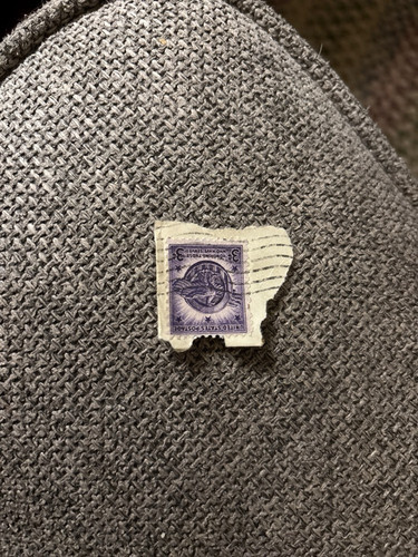 c503f4eb0398.jpg