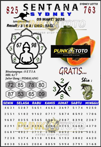 a8.jpg