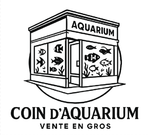 Capture d'écran 2026 03 06 172943.png