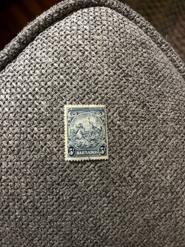 c3c7417ce5b3.jpg