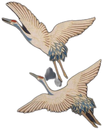 image 2026 03 08 171704774.png