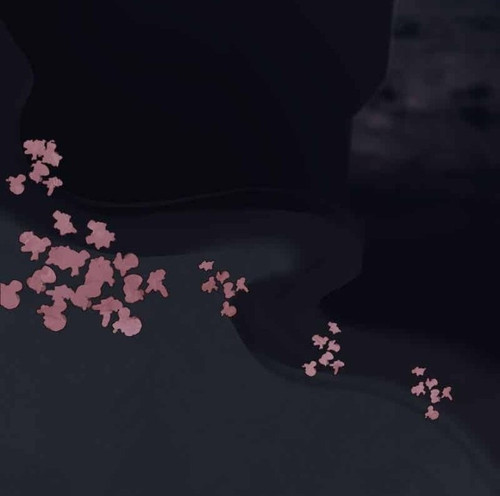 IMG 20260308 185858 750.jpg