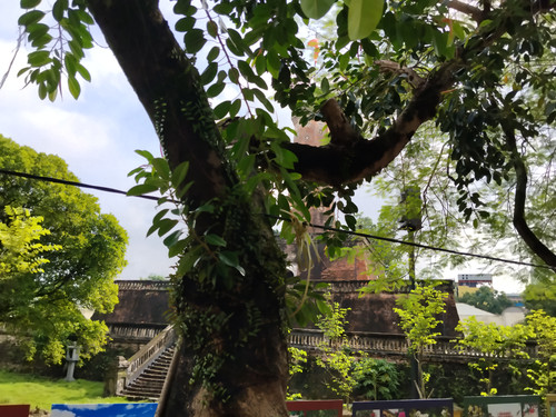 IMG 20251015 084913.jpg