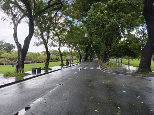 IMG 20251017 133814.jpg