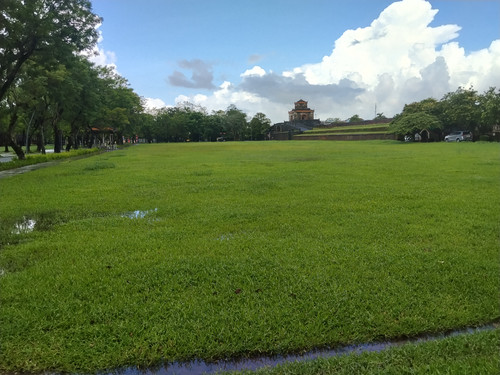 IMG 20251017 133336.jpg