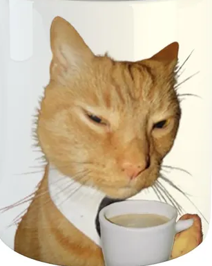 tinal.png