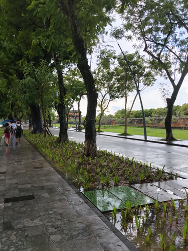 IMG 20251017 133656.jpg