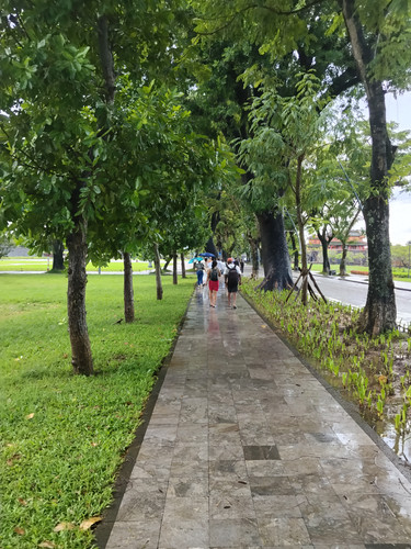 IMG 20251017 133701.jpg