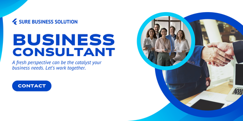 Blue and White Modern Business Consultant Banner.png