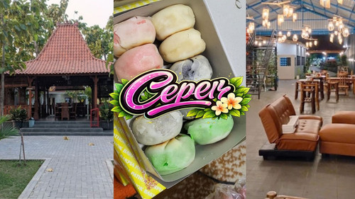 WhatsApp Image 2026 03 09 at 11.22.27 AM.jpg