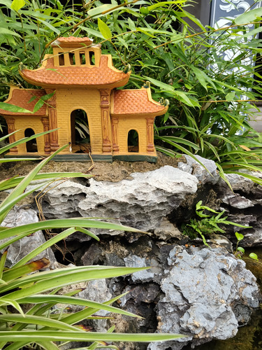 IMG 20251015 114303.jpg