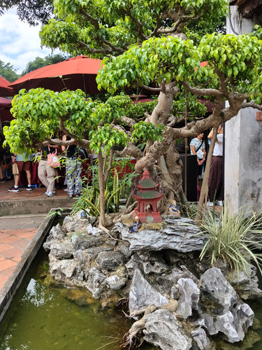 IMG 20251015 114638.jpg