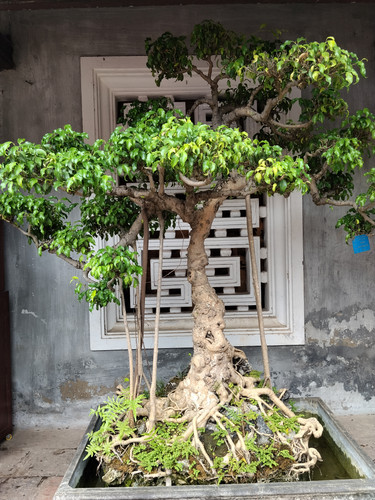 IMG 20251015 114558.jpg