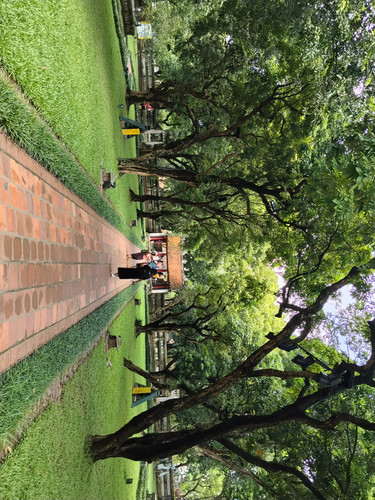 IMG 20251015 113236.jpg