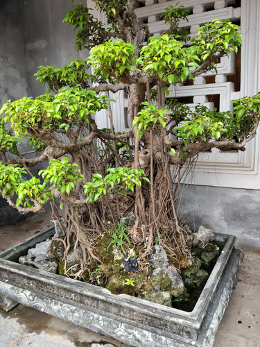 IMG 20251015 114219.jpg