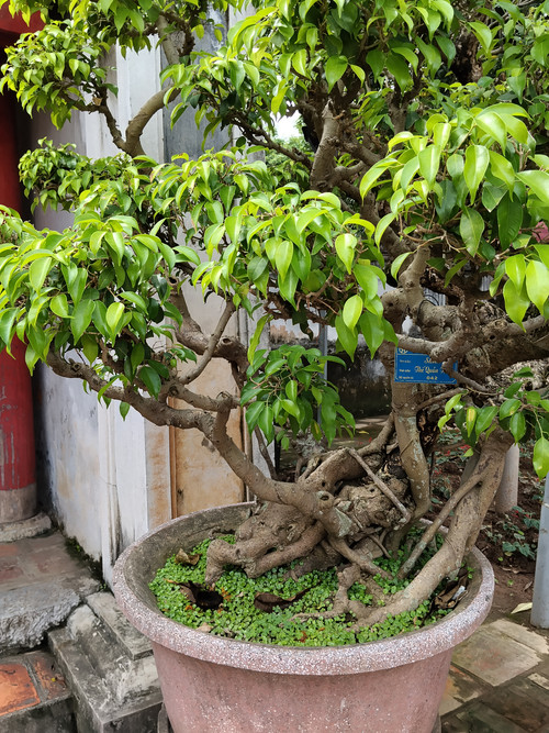 IMG 20251015 114715.jpg