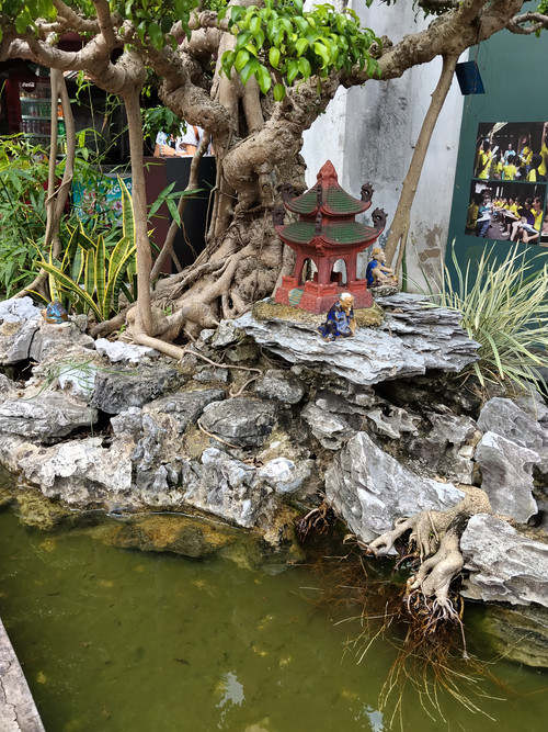 IMG 20251015 114644.jpg