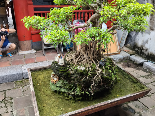 IMG 20251015 120010.jpg