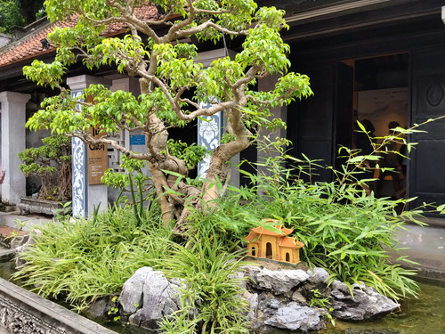 IMG 20251015 114252.jpg