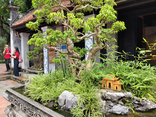 IMG 20251015 114255.jpg