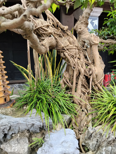 IMG 20251015 120216.jpg