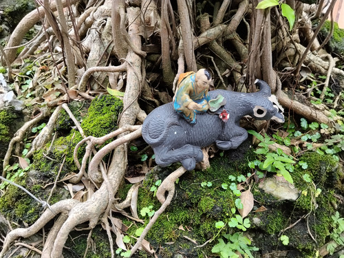 IMG 20251015 120032.jpg