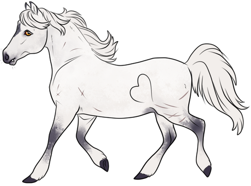 wp beth.png