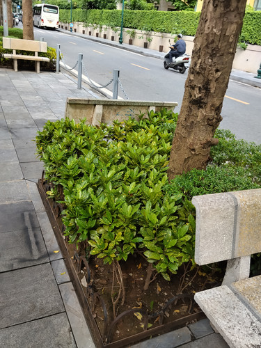 IMG 20251015 140249.jpg