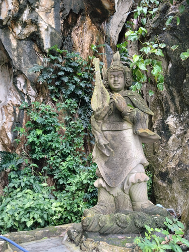 IMG 20251016 114304.jpg