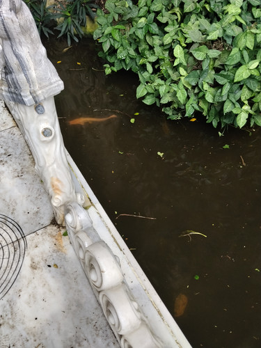 IMG 20251016 114344.jpg