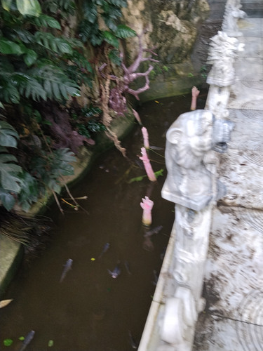 IMG 20251016 114350.jpg