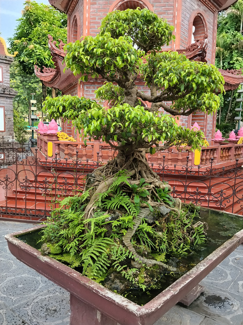 IMG 20251015 154443.jpg