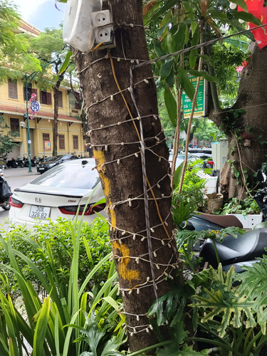 IMG 20251015 134534.jpg