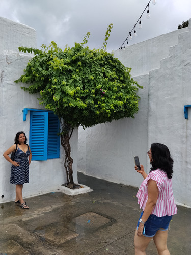 IMG 20251016 105418.jpg