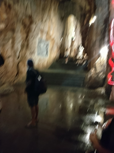 IMG 20251016 114647.jpg