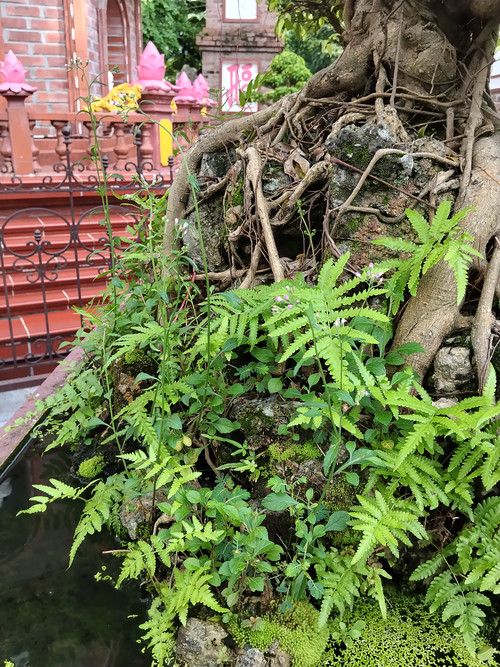 IMG 20251015 155211.jpg